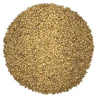 عدس سبز ریز